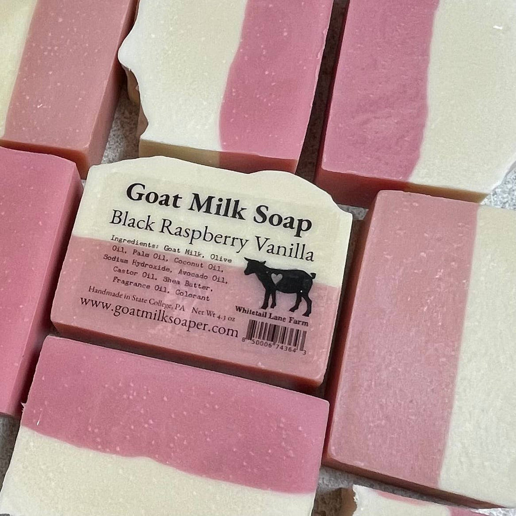 Black Raspberry Vanilla Goats Milk Soap - 260 Broadway Boutique