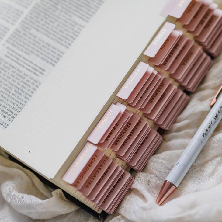 Blush Bible Tabs - 260 Broadway Boutique