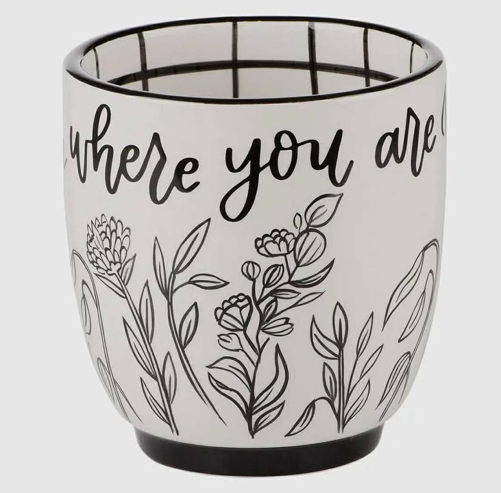 Glass Mugs (Multiple Styles) - 260 Broadway Boutique