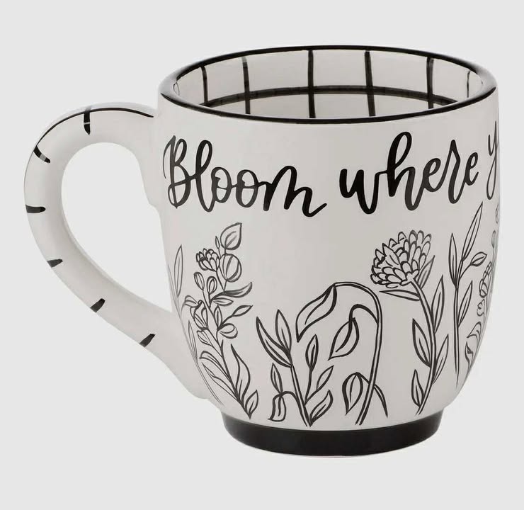 Glass Mugs (Multiple Styles) - 260 Broadway Boutique