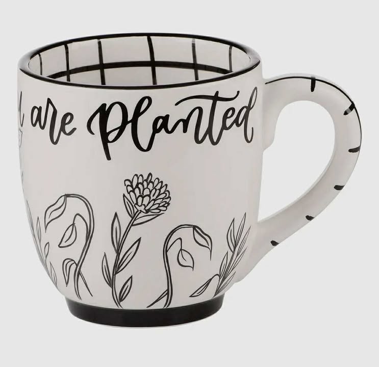 Glass Mugs (Multiple Styles) - 260 Broadway Boutique