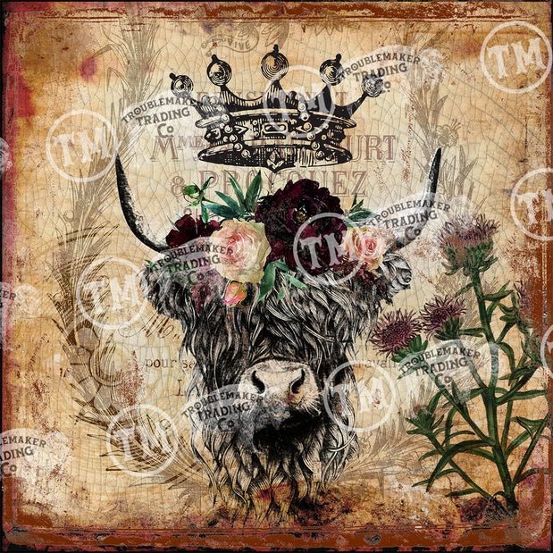 Highland Cow - Square Artwork - 260 Broadway Boutique