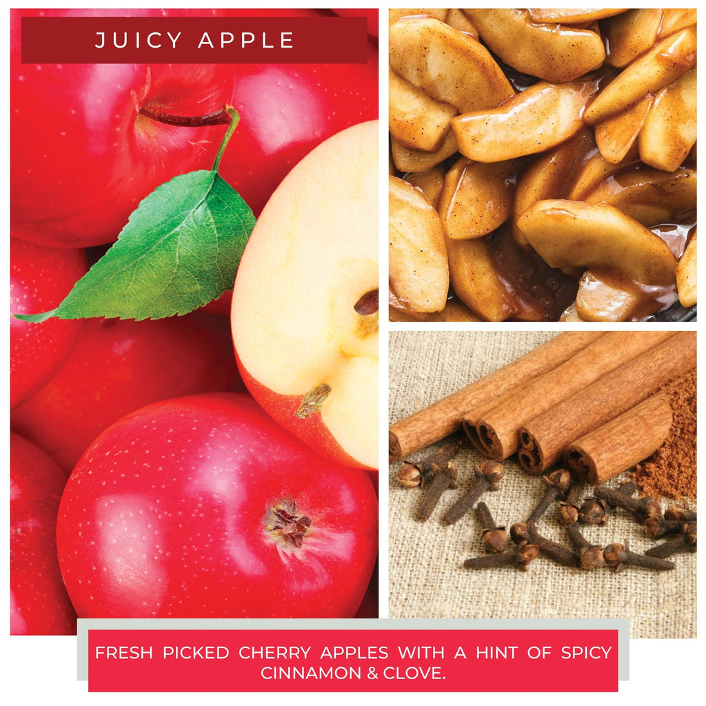Juicy Apple - Room Air Infuser - 260 Broadway Boutique