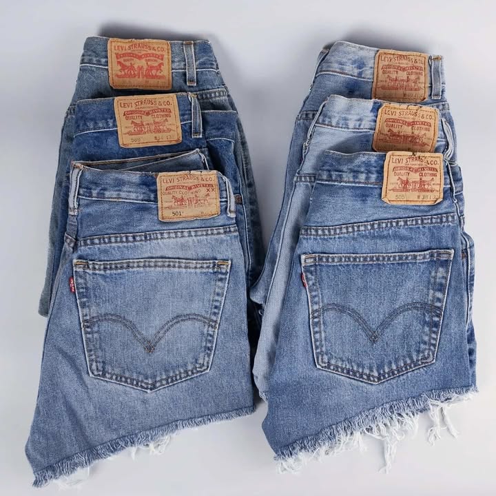 Levi Shorts (2 washes) - 260 Broadway Boutique