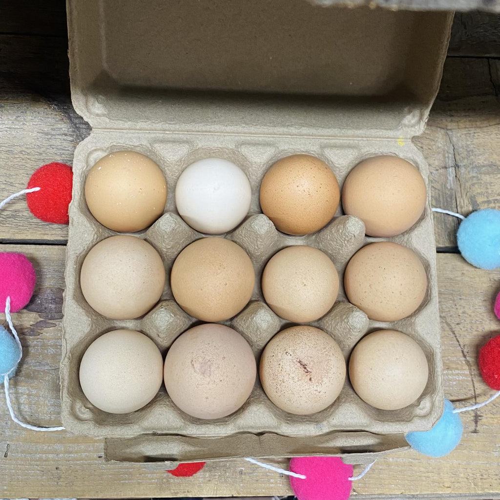 ORGANIC Pasture Raised Eggs - 260 Broadway Boutique