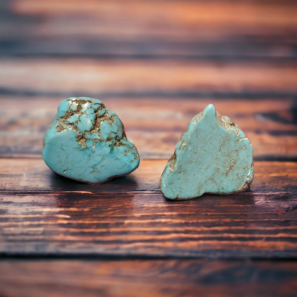 Turquoise Stone Earrings - 260 Broadway Boutique